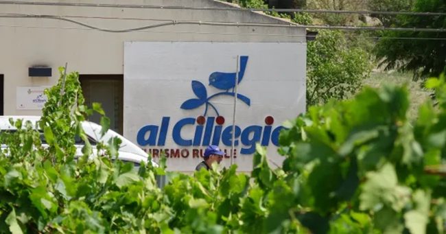 Salemi, torna la “vendemmia della legalità”: raccolta e impegno sociale contro la mafia