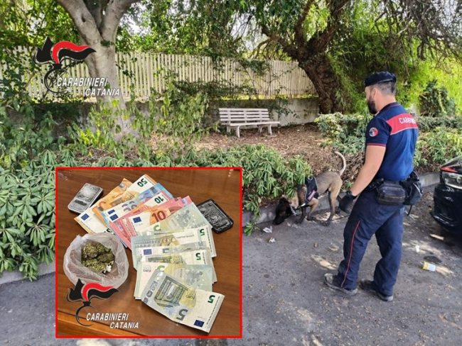 Catania, sequestrati 800 grammi di droga tra Librino e Trappeto: un arresto e una denuncia