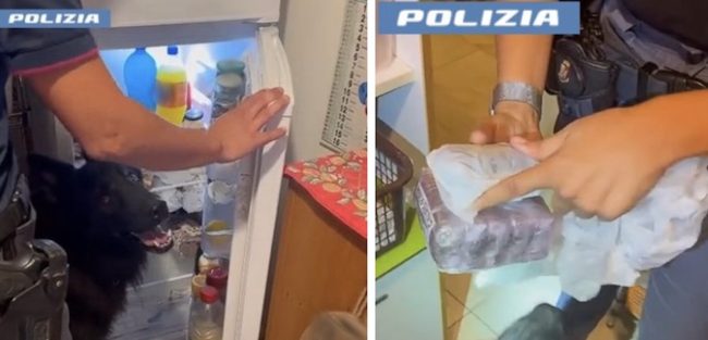 Oltre 500 grammi di hashish nascosti nel frigorifero: un arresto a Catania grazie ai cani-poliziotto