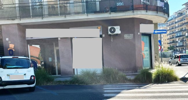 Borgo-Sanzio, la denuncia della Consigliera Cerri: “Via Torino sembra una giungla”