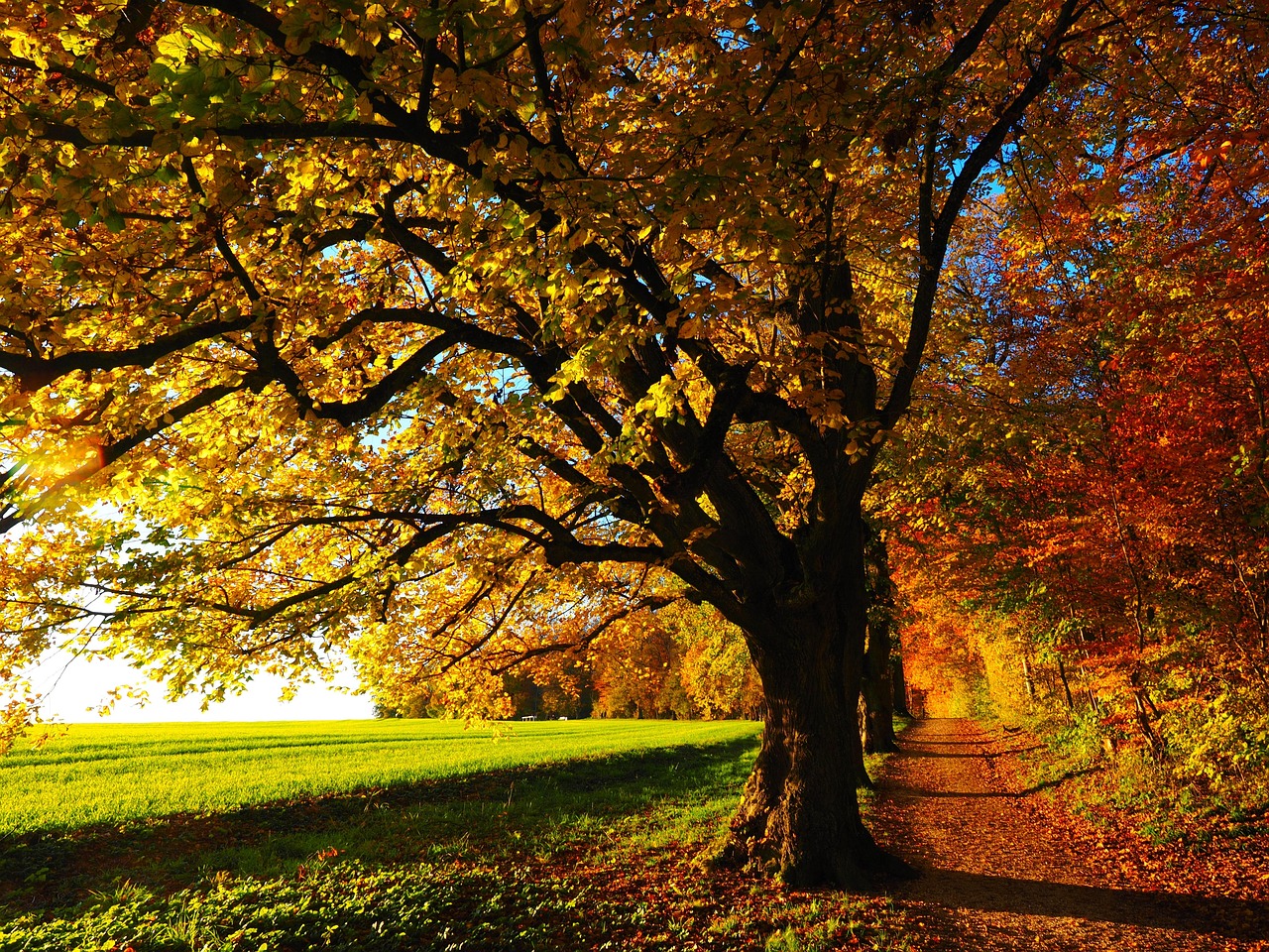 Oggi si entra ufficialmente nella stagione autunnale: orario e significato dell’equinozio