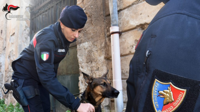 Palermo “sotto scacco” della droga: due arresti e una denuncia