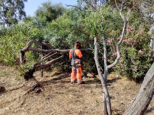 Mascali, conclusi gli interventi di bonifica e sicurezza: rimossi rifiuti e aree verdi riqualificate