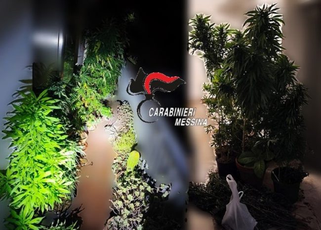 Taormina, arreda il balcone di casa con fiori e piante di marijuana: ai domiciliari 72enne