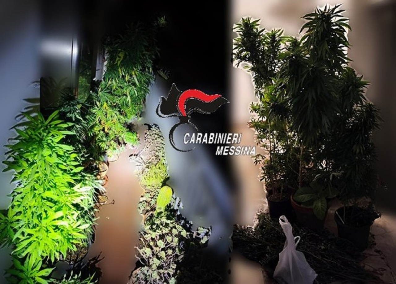 Taormina, arreda il balcone di casa con fiori e piante di marijuana: ai domiciliari 72enne