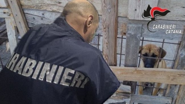 Controlli nelle strutture del Catanese, guai a Mascali e Riposto