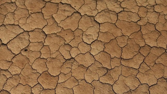 Siccità, Ribera scende in campo per salvare l’agricoltura. L’assemblea