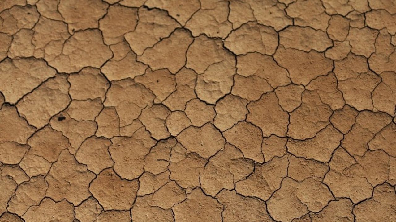 Siccità, Ribera scende in campo per salvare l’agricoltura. L’assemblea