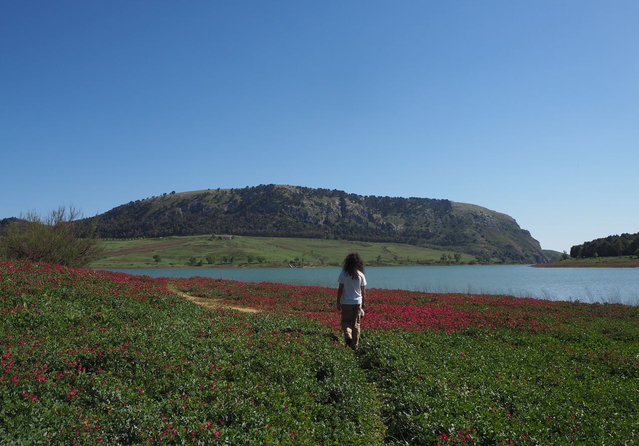 “Frammenti di vetro”, la poesia come resistenza e rinascita: la storia di Vincenzo Li Greci