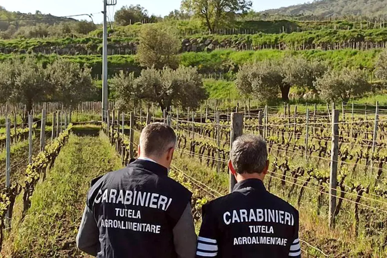 Falso Zibibbo di Pantelleria, denunciato imprenditore tedesco: sequestrati 5mila litri di vino