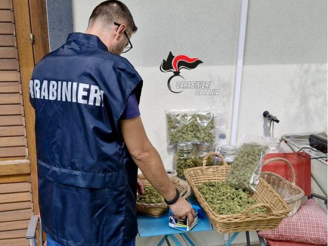 Mascalucia, marijuana coltivata nell’orto: arrestato un uomo