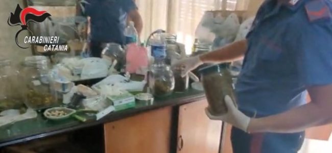 Autorizzato a coltivare canapa “legale”, diventa uno spacciatore di marijuana: un arresto nel Catanese