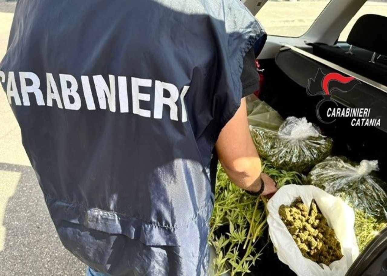 Belpasso, scoperta coltivazione di marijuana: arrestata 40enne dal “pollice verde”