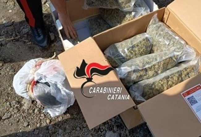 Arrestato un 27enne di Acireale, fondamentale il fiuto del cane antidroga “King”