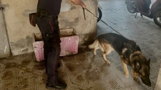 Spaccio a Riposto, 29enne arrestato: scovati cocaina, marijuana e crack grazie ai cani antidroga