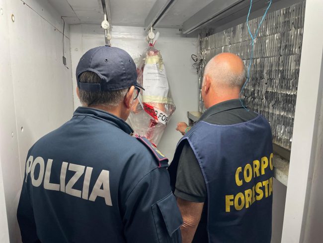 Paternò, irregolarità e carenze igienico-sanitarie in una macelleria islamica: sanzioni di 4.500 euro