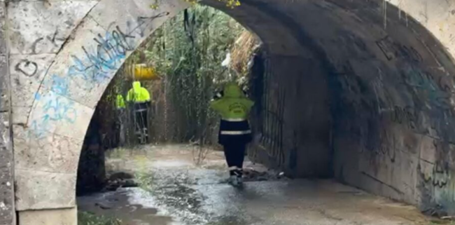 Favara, ritrovata la borsetta di Marianna: i cani molecolari seguono le tracce della donna dispersa