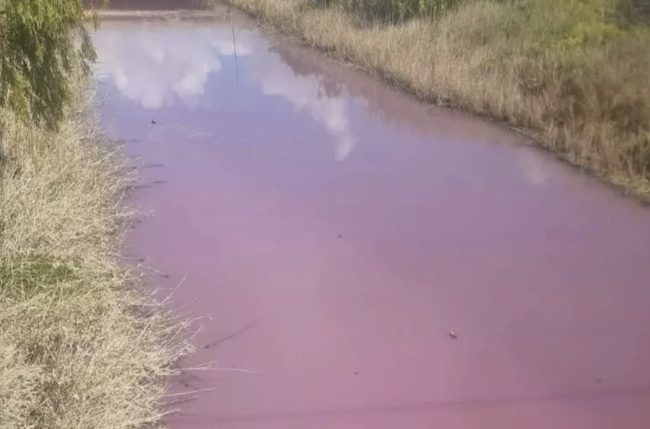 La patina rosa e il cattivo odore: possibili sostanze pericolose nel fiume Gela