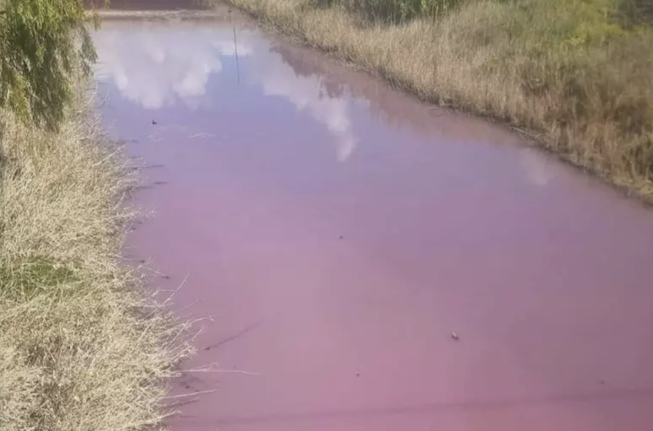La patina rosa e il cattivo odore: possibili sostanze pericolose nel fiume Gela