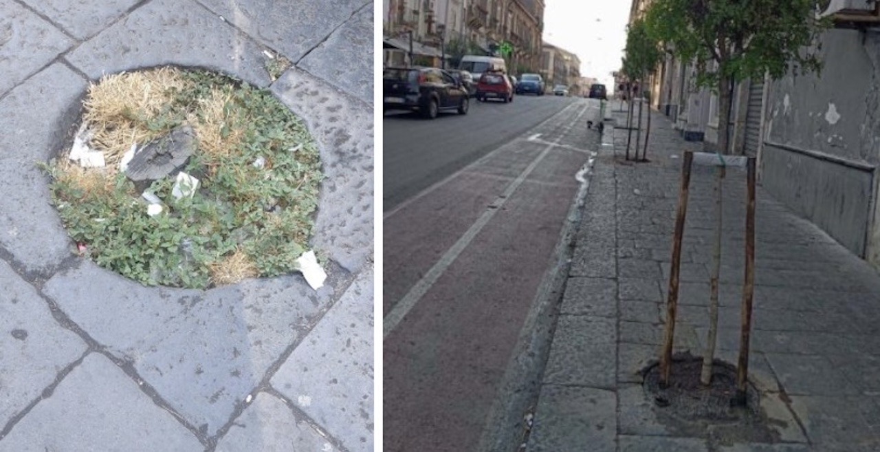 Al via gli interventi di ripristino dei viali alberati e delle strade di Catania