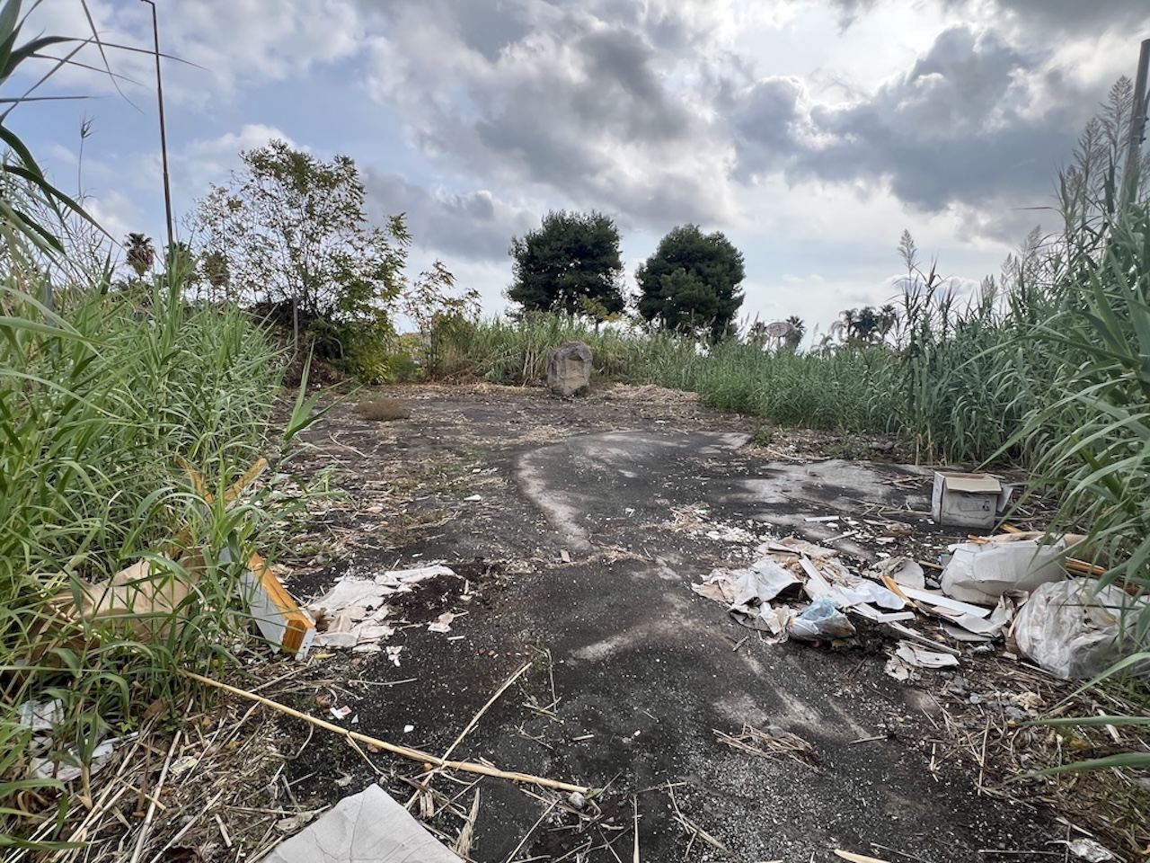 Protestano gli imprenditori dell’area artigianale di Giarre: “Il Centro comunale di raccolta non può sorgere qui” Protestano gli imprenditori dell’area artigianale di Giarre: “Il Centro comunale di raccolta non può sorgere qui”