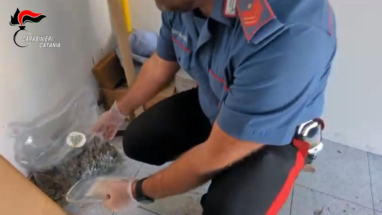 Dall’hashish nel cassetto al “giardino” di marijuana in terrazza: un arresto a Pedara – VIDEO