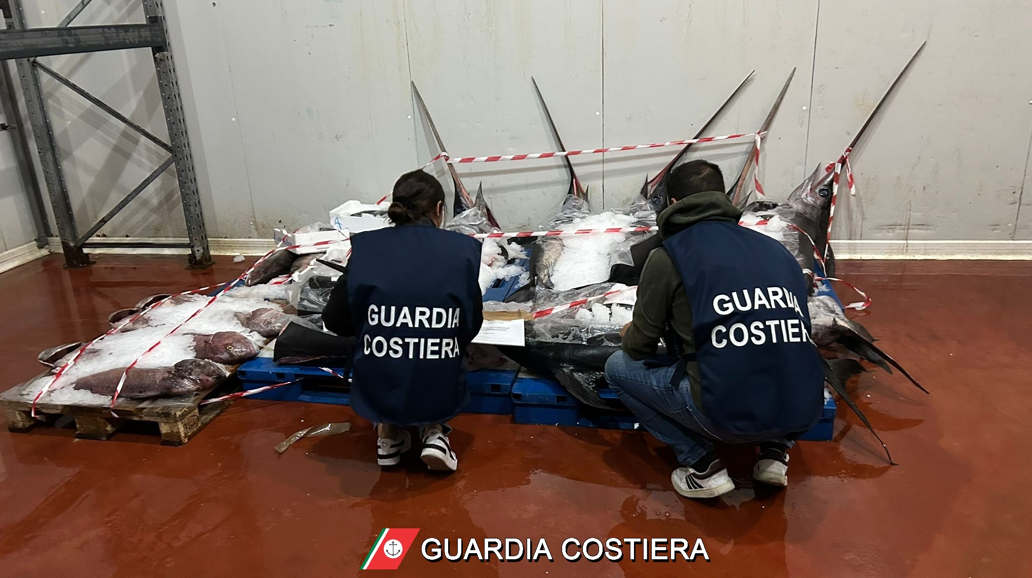 Maxi operazione sulla filiera ittica catanese: sequestrati 3.500 kg di pesce irregolare e sanzioni per 10 mila euro
