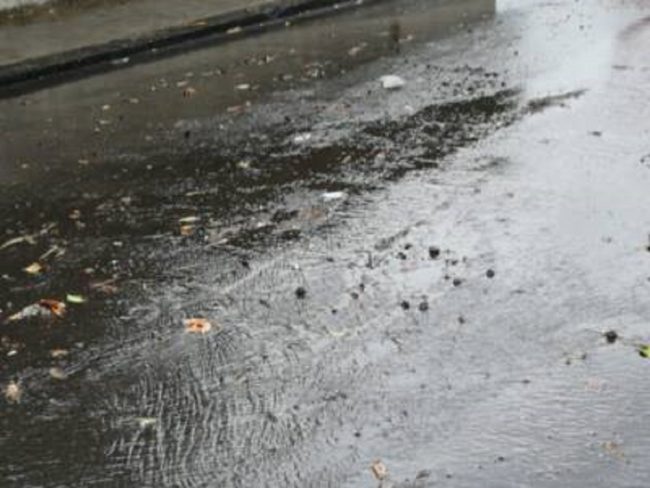 Dispersa dopo alluvione, continuano le ricerche di Marianna Bello