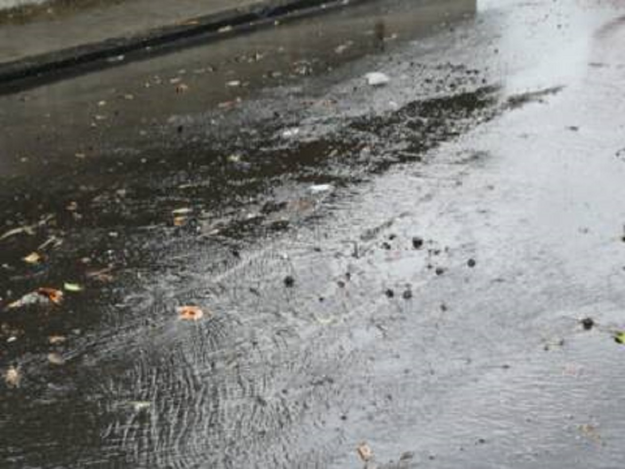 Dispersa dopo alluvione, continuano le ricerche di Marianna Bello