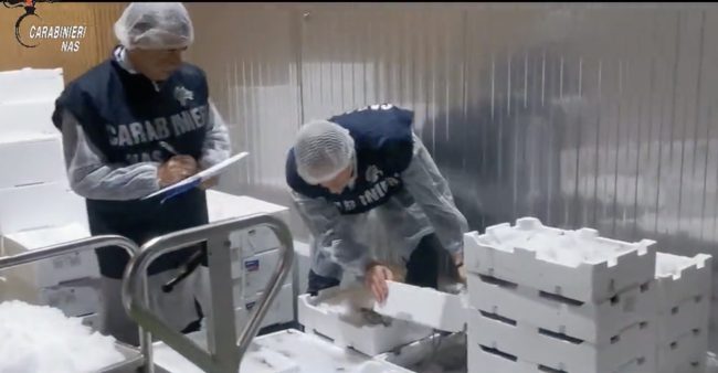 Catania, sequestrati oltre 100 mila kg di prodotti ittici e 900 mila kg di succo d’agrumi in una piattaforma logistica