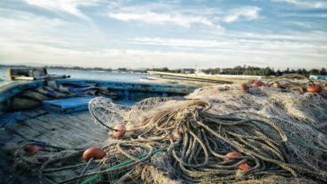 La Sicilia investe sulla pesca: bando da 3 milioni di euro per porti e luoghi di sbarco