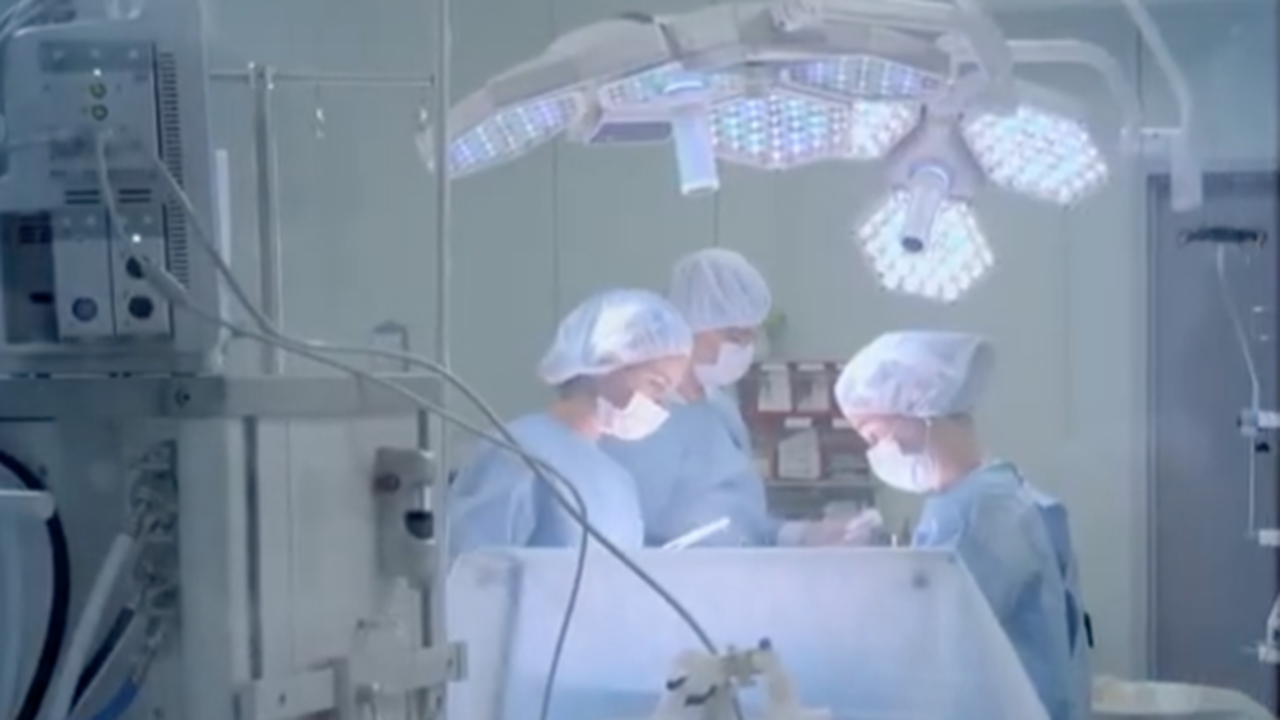 Palermo, al Policlinico il primo prelievo multiorgano a cuore fermo: “Un gesto di amore che dona vita”