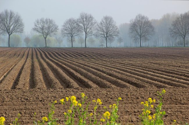 Non si accorge del collega e lo investe: morto un bracciante agricolo a Licata