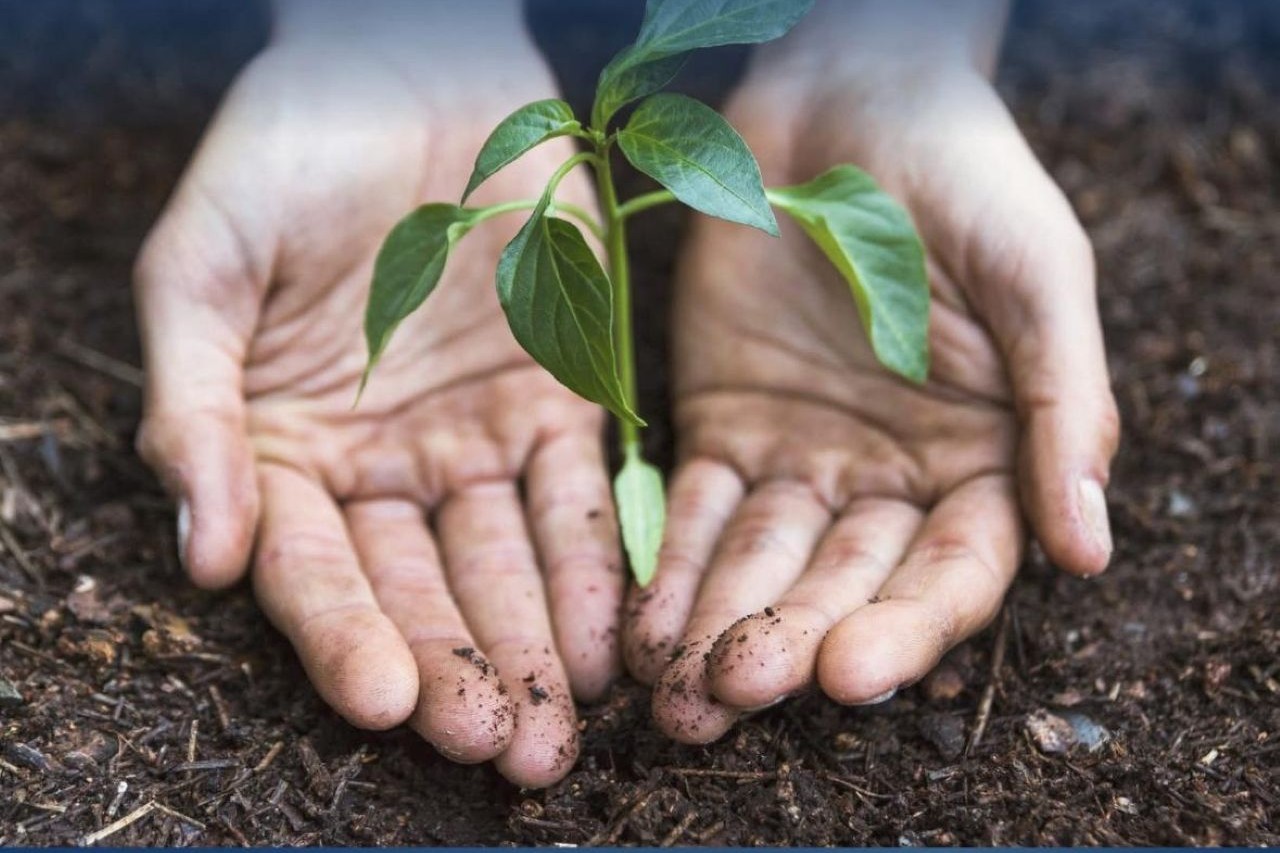 Al Teatro Pirandello di Agrigento la prima edizione del premio “Custode dell’Ambiente”
