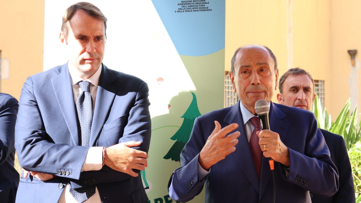 Festa dell’Albero: Schifani e Sammartino al “Malaspina” di Palermo per piantare un ulivo con i ragazzi