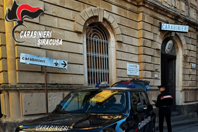 Francofonte, 15 cani malnutriti e in pessime condizioni igieniche: denunciata una 68enne