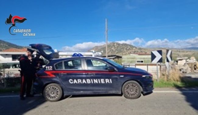 Sanzionata azienda agricola a Maniace: vitelli non tracciati e mezzi non omologati