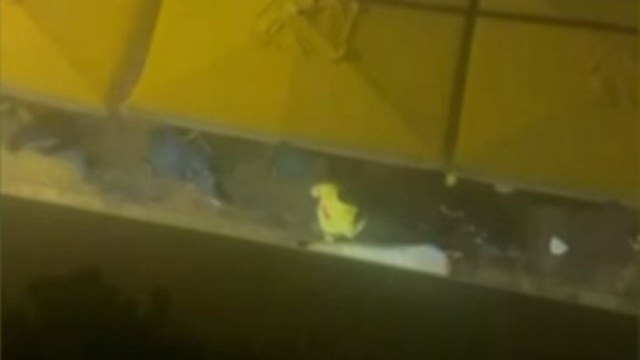 Palermo, accoltellamento in via Isidoro La Lumia: ferito 42enne durante rissa in centro