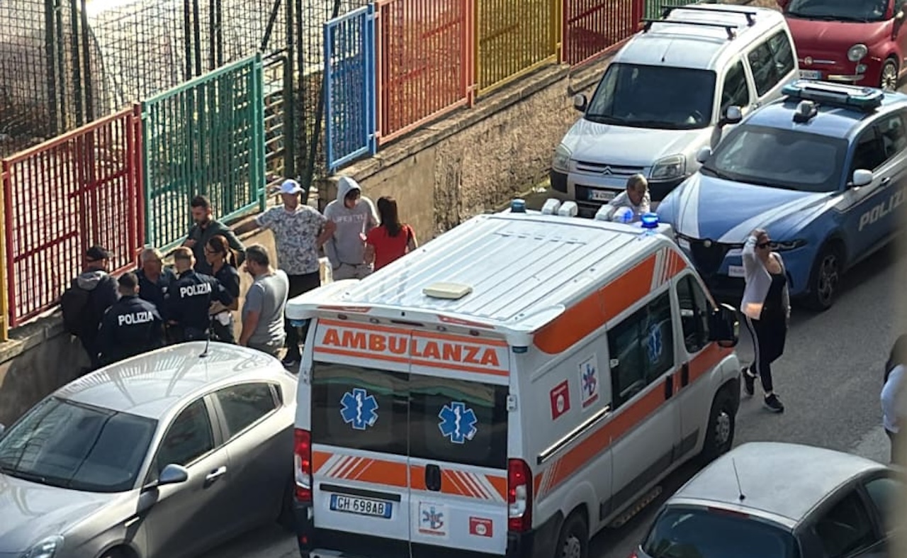 Paura a Vittoria: pitbull uccide barboncino e ferisce bambina di dieci anni Paura a Vittoria: pitbull uccide barboncino e ferisce bambina di dieci anni