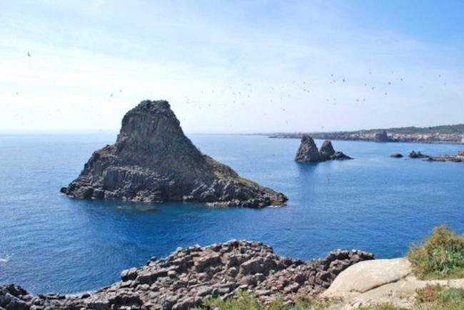 Aree protette, oltre 13 milioni per 5 progetti di ripristino ambientale. Savarino: “Riqualifichiamo e tuteliamo siti importanti”