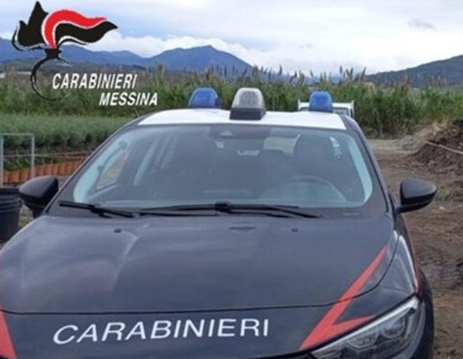 Sversano reflui oleari nei corsi d’acqua: sequestrati due frantoi nel Messinese, denunciati titolari e soci