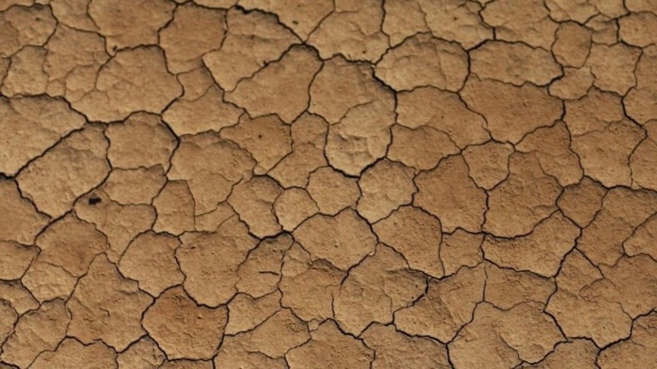 Il punto sulla crisi idrica che sta mettendo “in ginocchio” il Trapanese Il punto sulla crisi idrica che sta mettendo “in ginocchio” il Trapanese