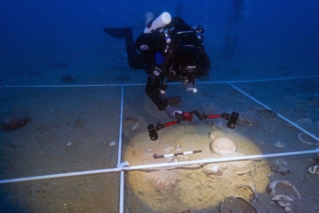 Nuove scoperte dalla nave trovata nel Siracusano: “Un sito di straordinario potenziale”
