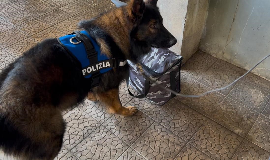 Casa trasformata in base di spaccio: 55enne arrestato grazie al fiuto del cane antidroga “Maui”