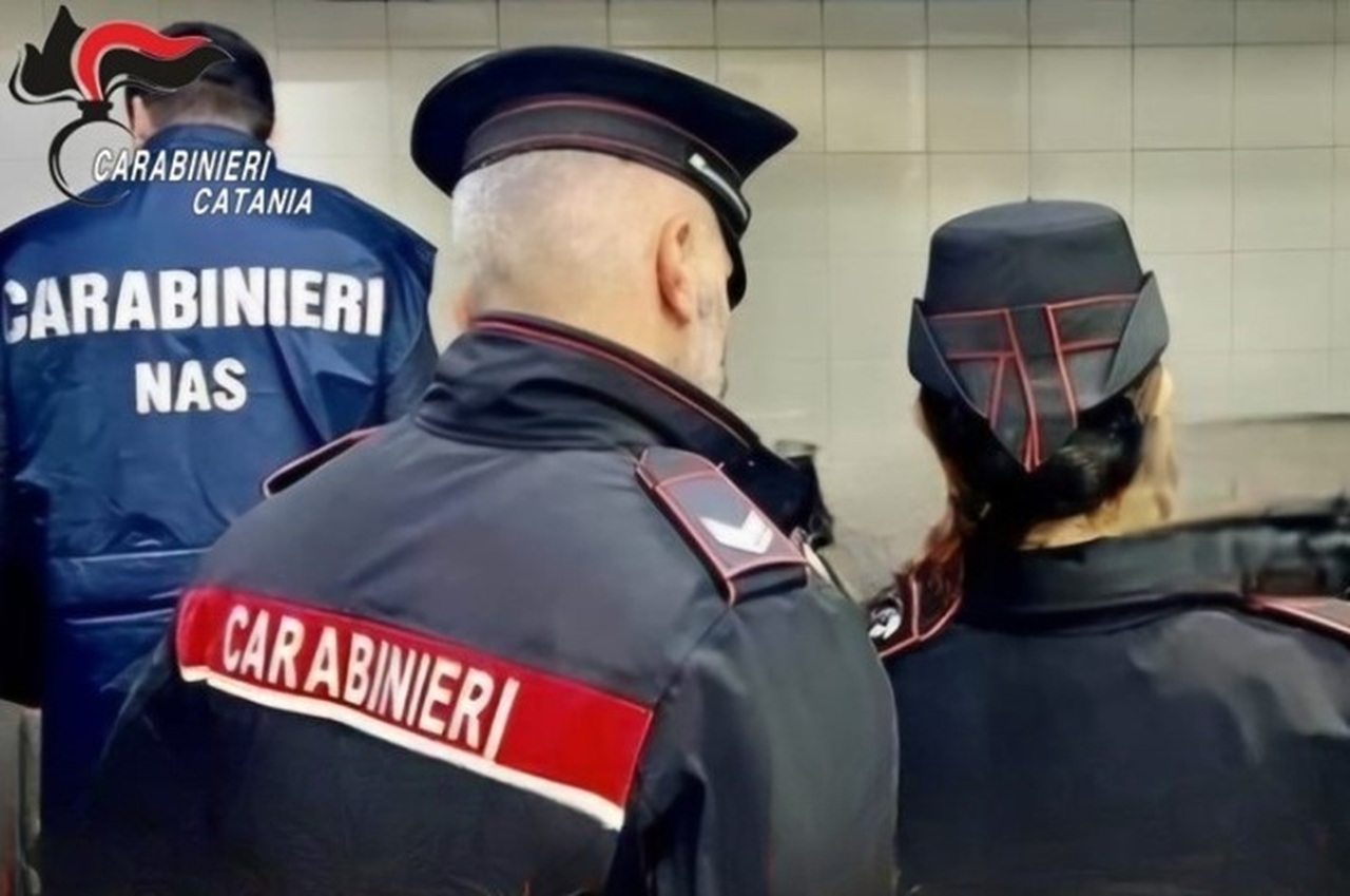 Controlli igienico-sanitari a Mascalucia e Tremestieri, nel mirino due attività