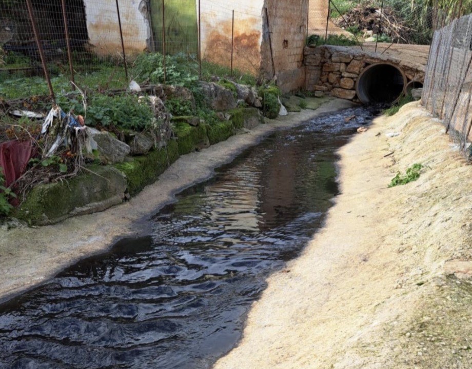 Corpo Forestale scopre scarichi illeciti di tre oleifici nel Palermitano
