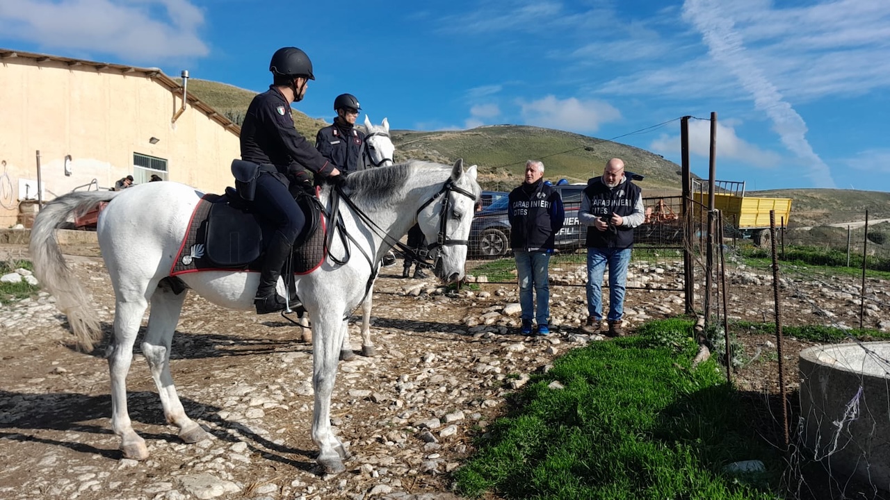 Operazione straordinaria nella Riserva di Ficuzza: controlli a tappeto dei Carabinieri nelle aree rurali e boschive