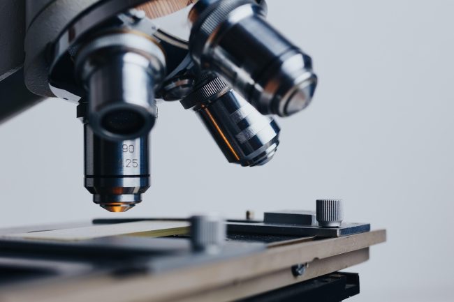 Un anno di scienze: cos’è successo nel 2025