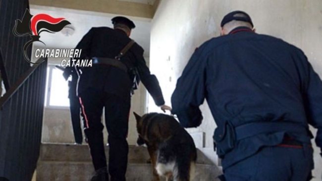 Controlli “a tappeto” dei carabinieri a Librino: denunce e sanzioni