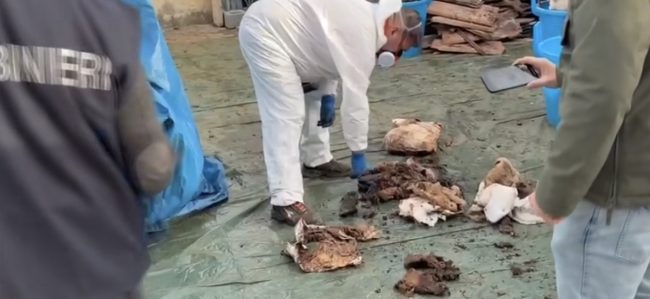 Cimitero di Aci Catena, l’orrore dietro il ritrovamento di nuovi resti umani abbandonati